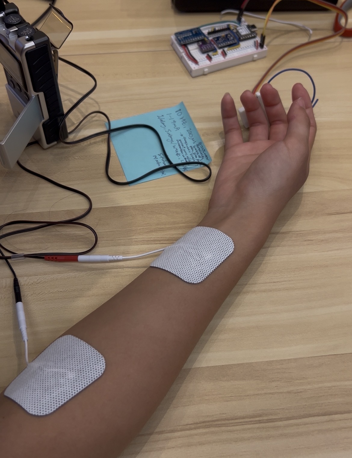 lab rat testing